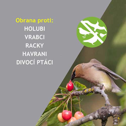 profesionalni odganjalec ptic